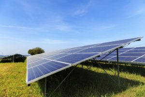 grass and solar panel