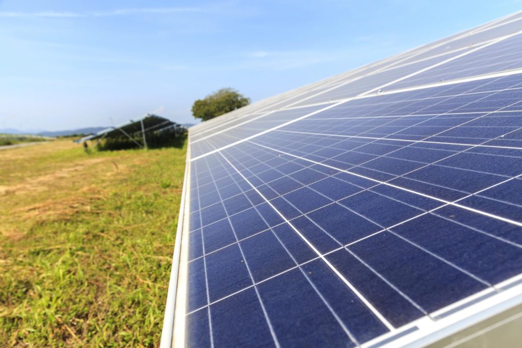 GRass field and solar panels