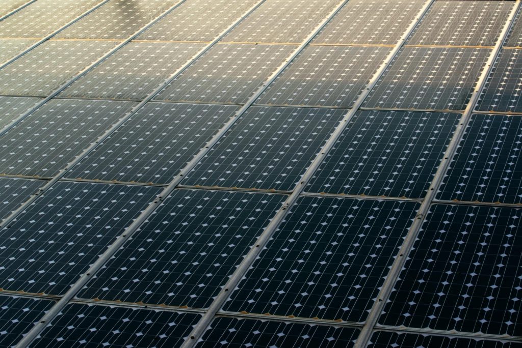 a field of solar panels