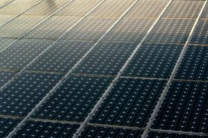 a field of solar panels