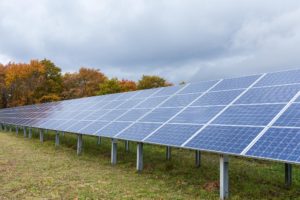 Solar panels in a field