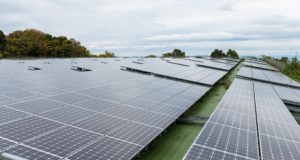 solar panels in a field