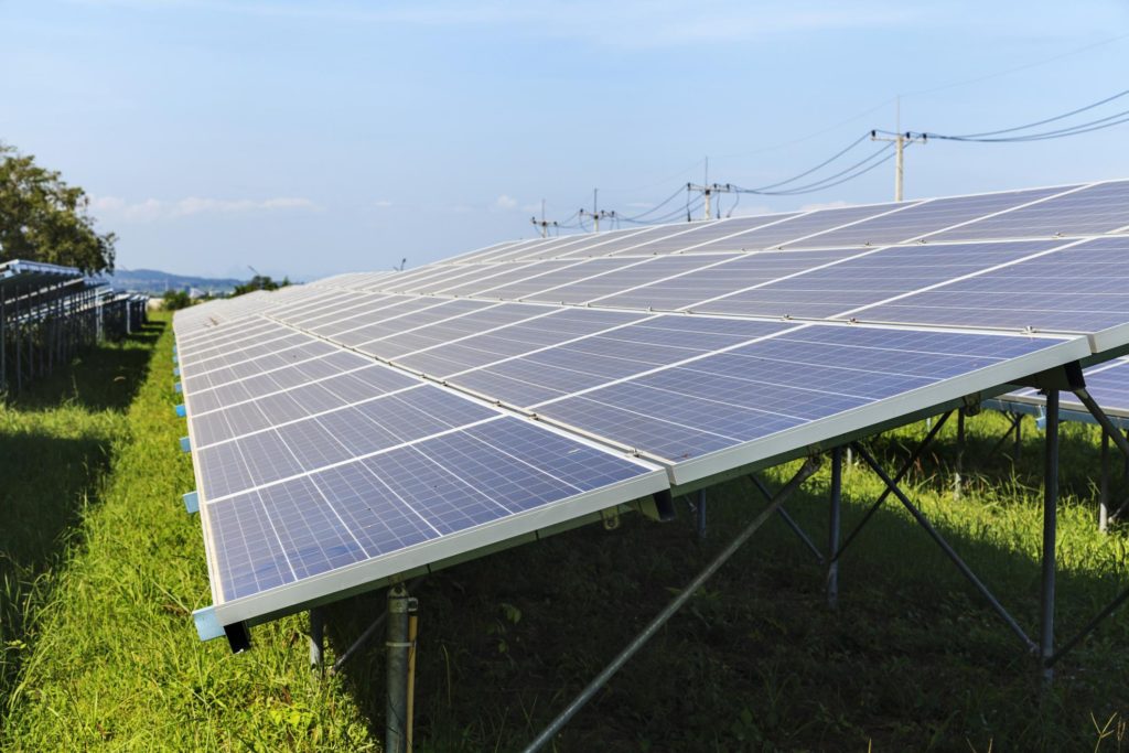 solar panel and grass