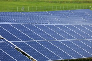 Solar panels in a field