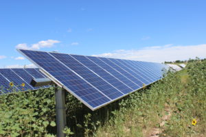 Row of solar panels