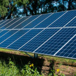 One solar panel by trees