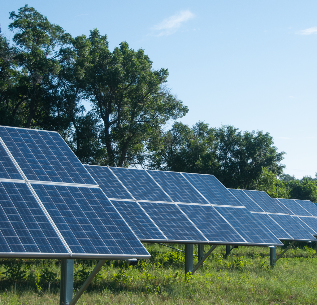 solar panels by row of trees