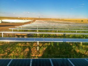 Rows of solar panels