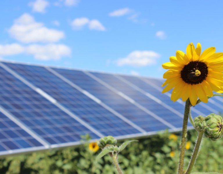 SunShare Solar Garden